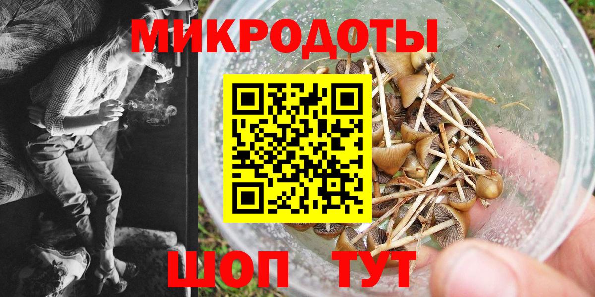Псилоцибиновые грибы Psilocybine cubensis  Вход с VPN  Галлюциногенные грибы мухоморы  Шебекино 